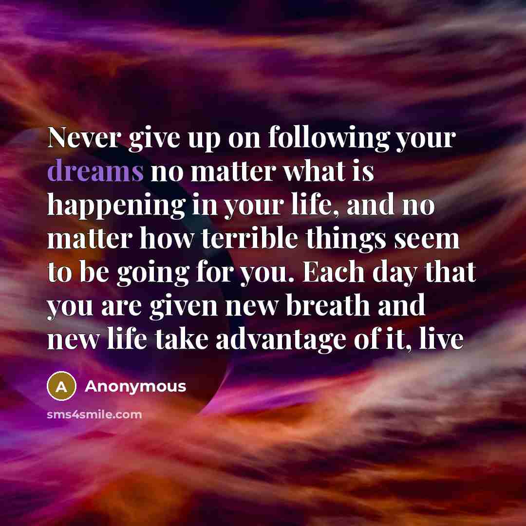 “Never give up on following your dreams no matter what…” quote by Anonymous