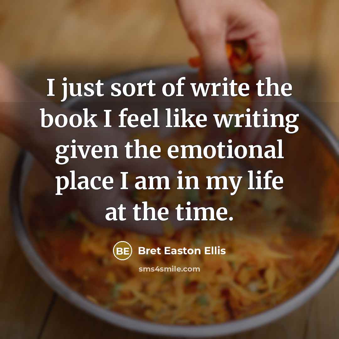 “I just sort of write the book I feel like…” quote by Bret Easton Ellis