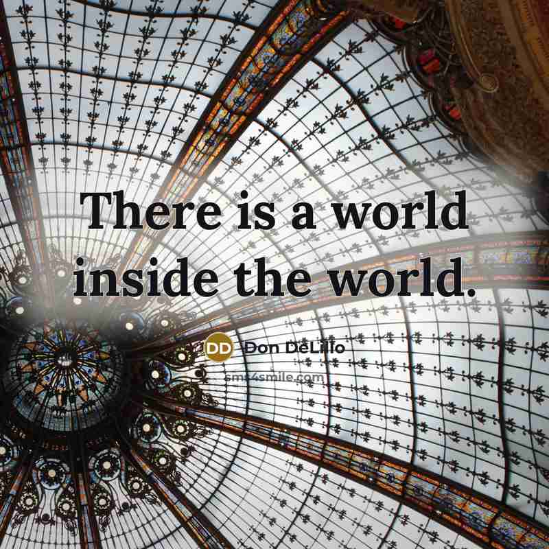 “There is a world inside the world.…” quote by Don DeLillo