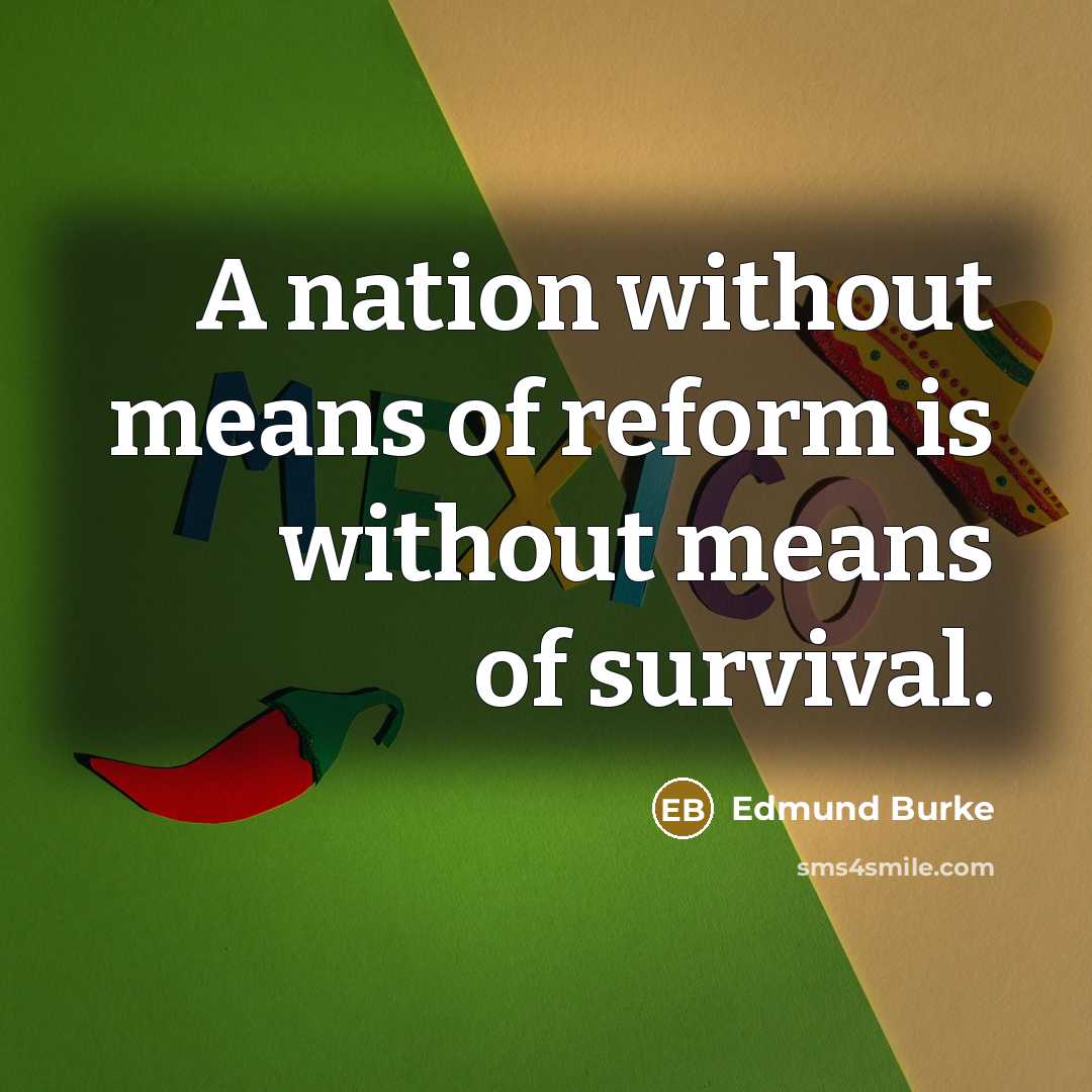 “A nation without means of reform is without means of…” quote by Edmund Burke