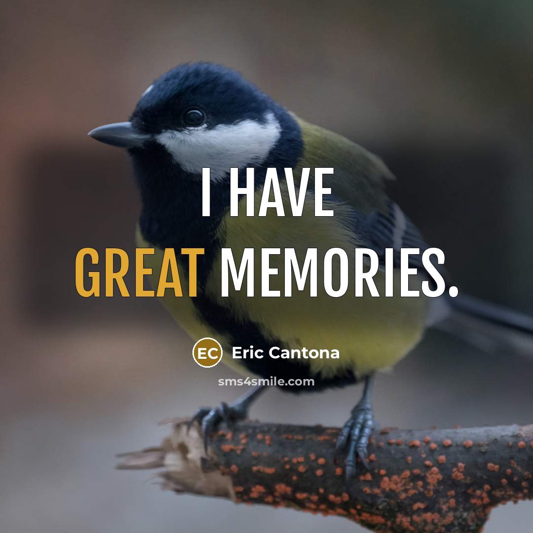 “I have great memories.…” quote by Eric Cantona
