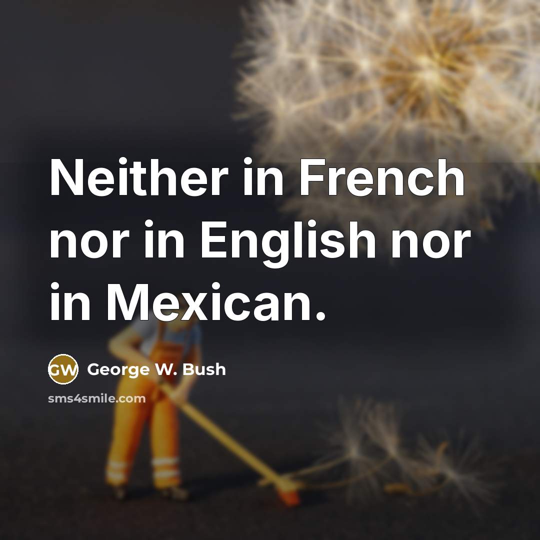 “Neither in French nor in English nor in Mexican.…” quote by George W. Bush
