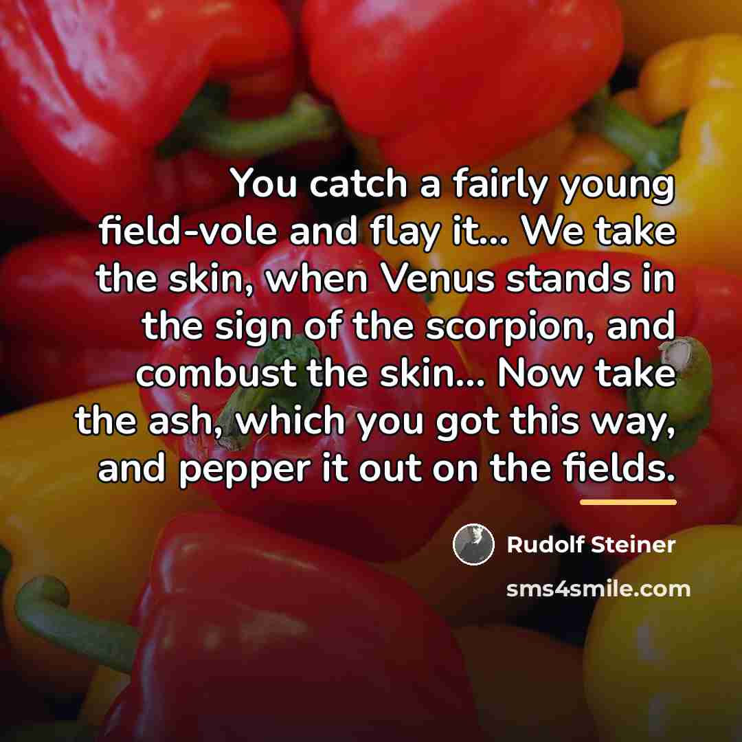 “You catch a fairly young field-vole and flay it... We…” quote by Rudolf Steiner