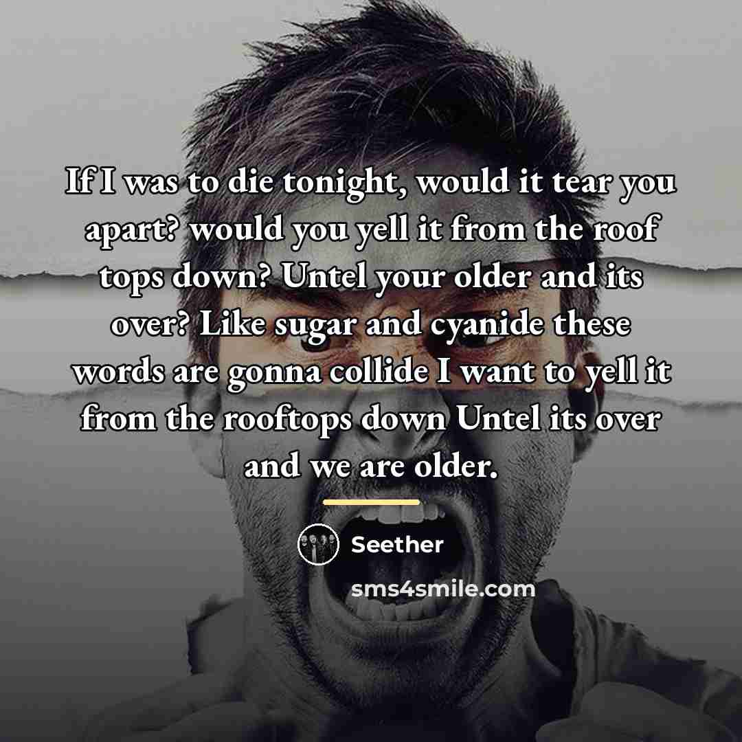 “If I was to die tonight, would it tear you…” quote by Seether