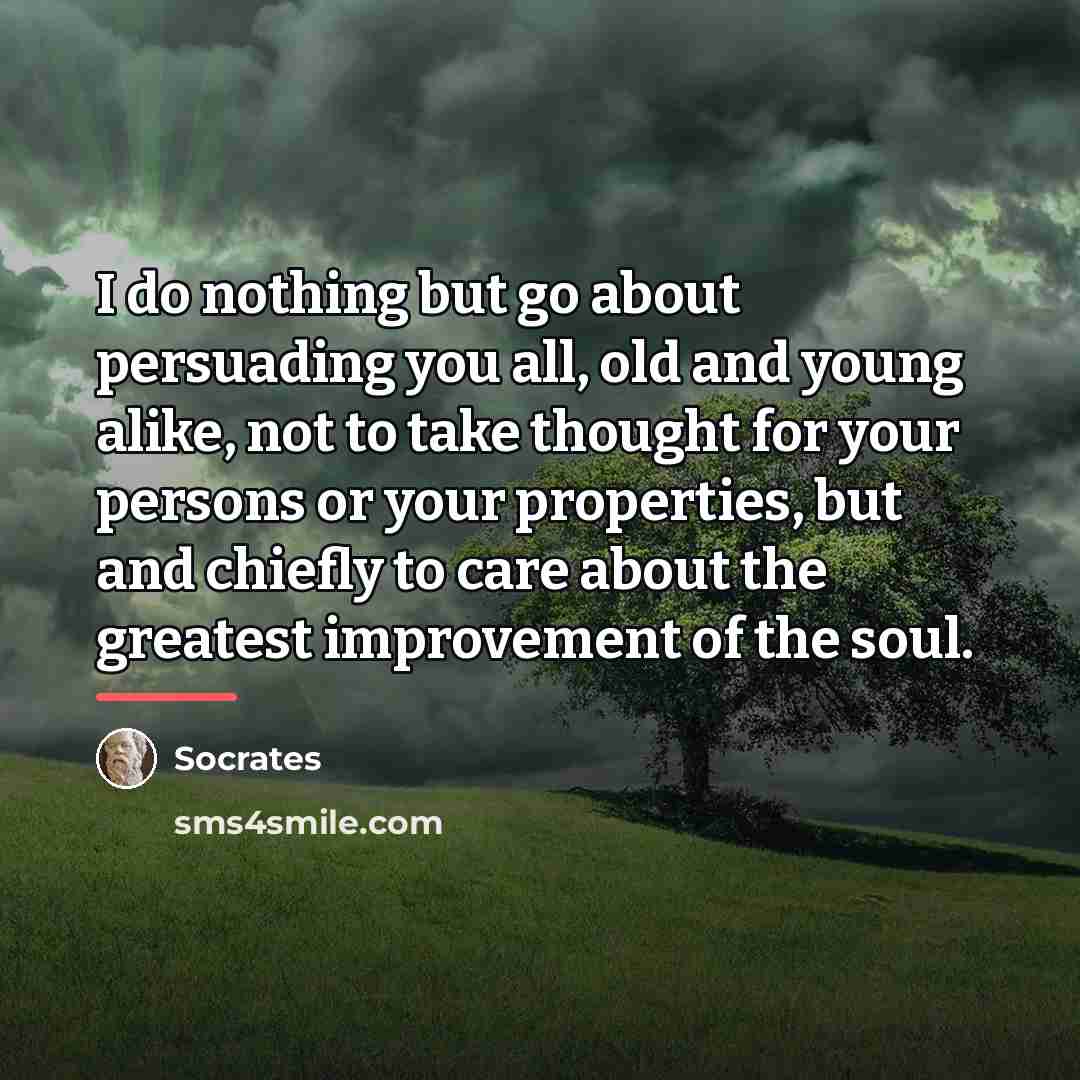 “I do nothing but go about persuading you all, old…” quote by Socrates