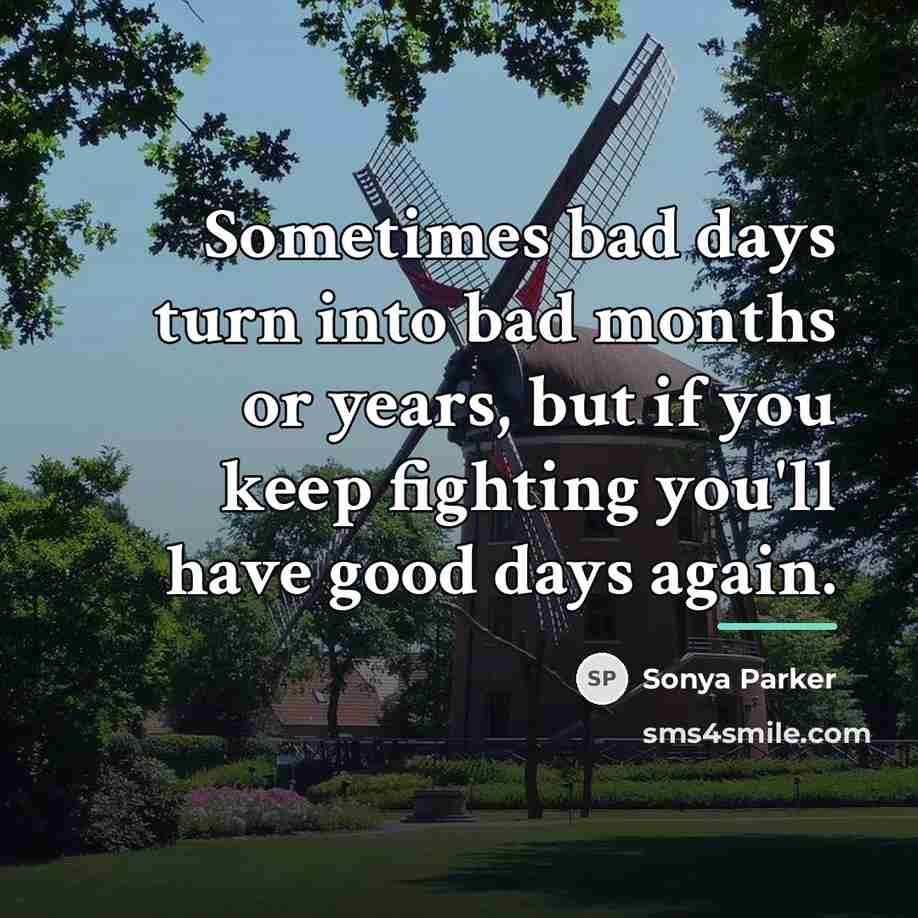 “Sometimes bad days turn into bad months or years, but…” quote by Sonya Parker