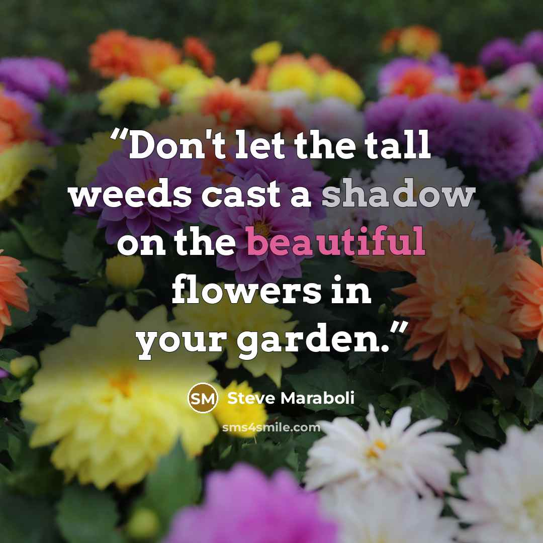“Don't let the tall weeds cast a shadow on the beautiful flowers in your garden.” quote by Steve Maraboli