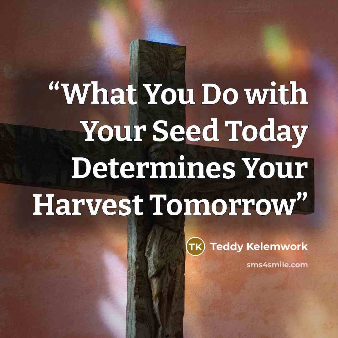 “What You Do with Your Seed Today Determines Your Harvest Tomorrow” quote by Teddy Kelemwork