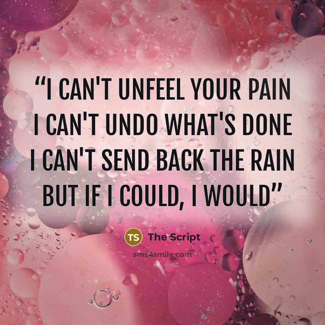 “i can't unfeel your pain i can't undo what's done i can't send back the rain but if i could, i would” quote by The Script