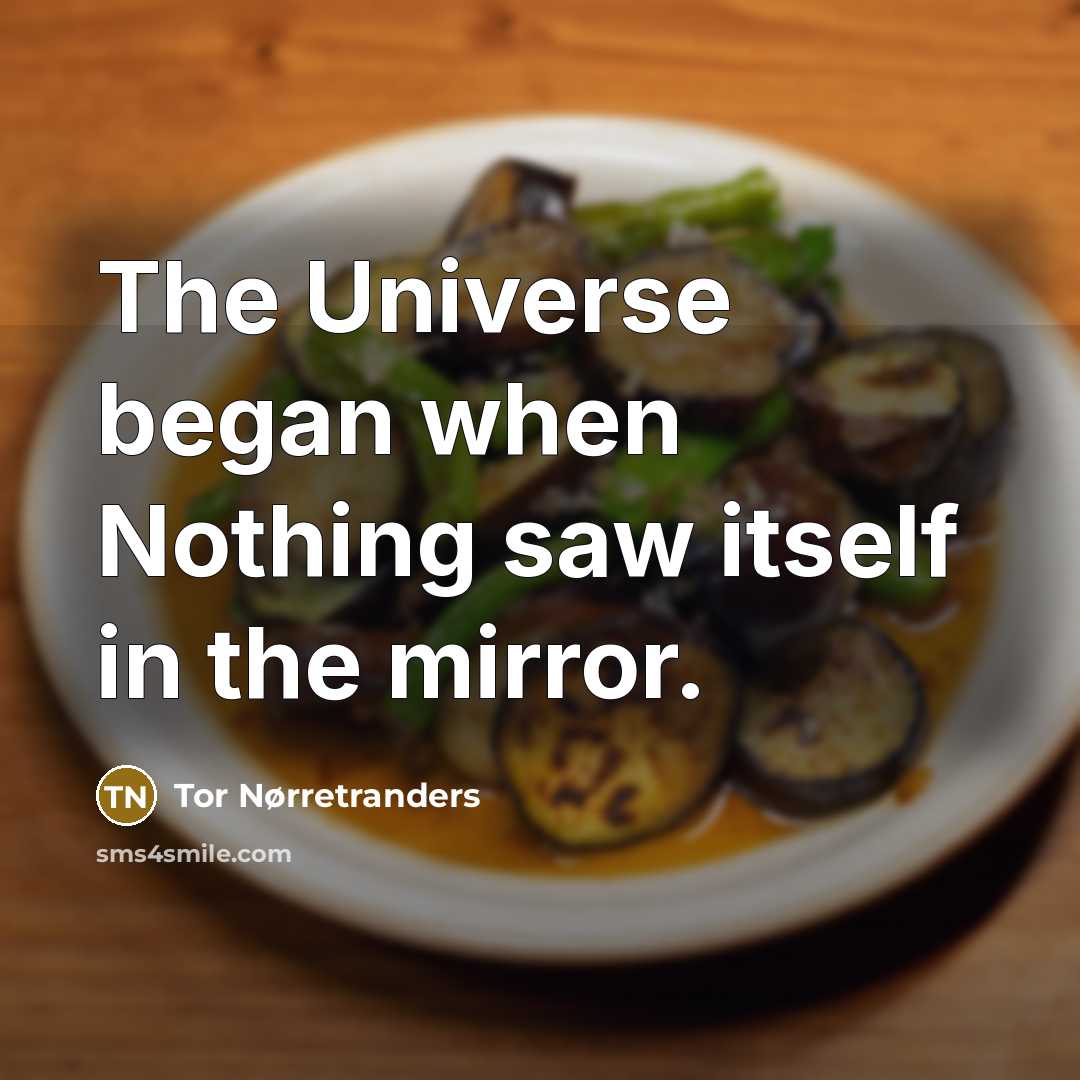 “The Universe began when Nothing saw itself in the mirror.…” quote by Tor Nørretranders