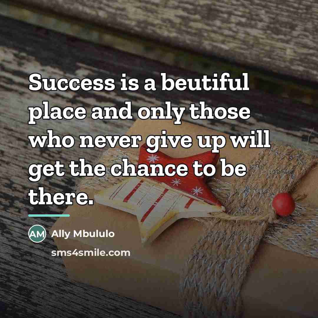 “Success is a beutiful place and only those who never…” quote by Ally Mbululo