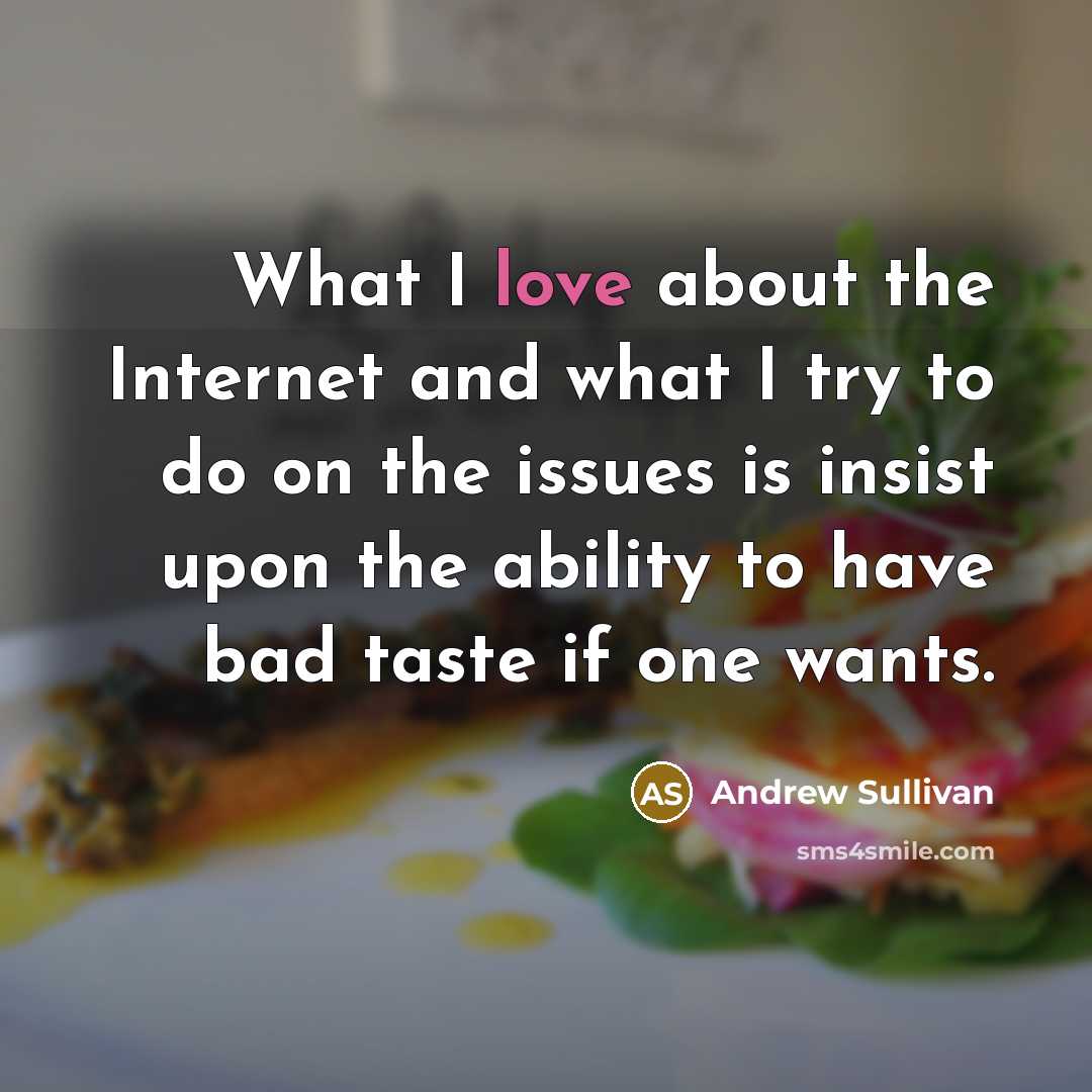 “What I love about the Internet and what I try…” quote by Andrew Sullivan