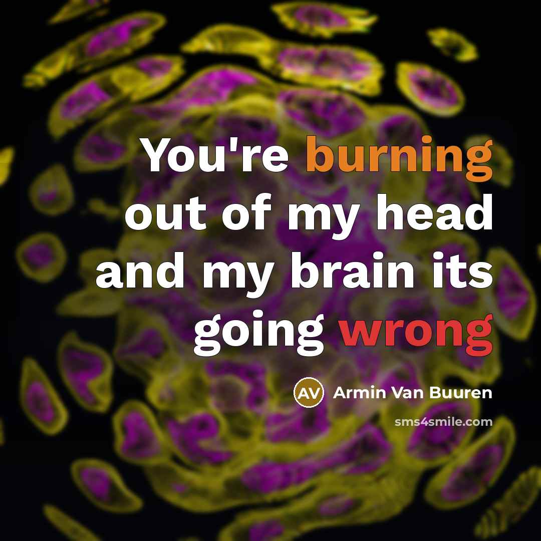 “You're burning out of my head and my brain its…” quote by Armin Van Buuren