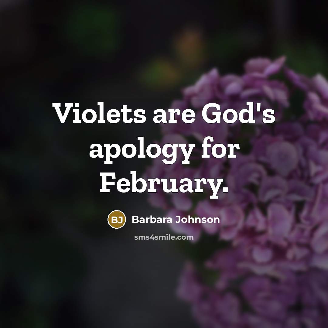“Violets are God's apology for February.…” quote by Barbara Johnson