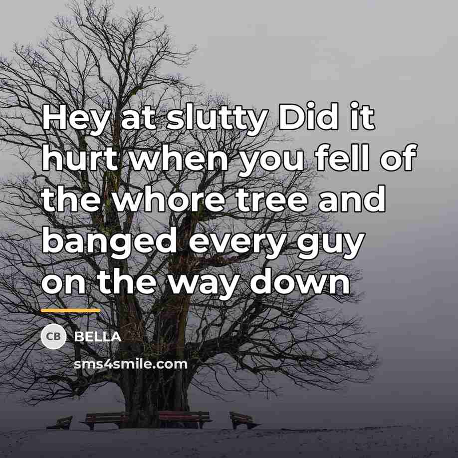 “Hey at slutty Did it hurt when you fell of…” quote by Bella