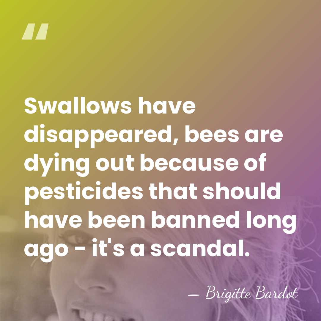 Swallows have disappeared, bees are dying out because of pesticides that should&hellip; - Brigitte Bardot