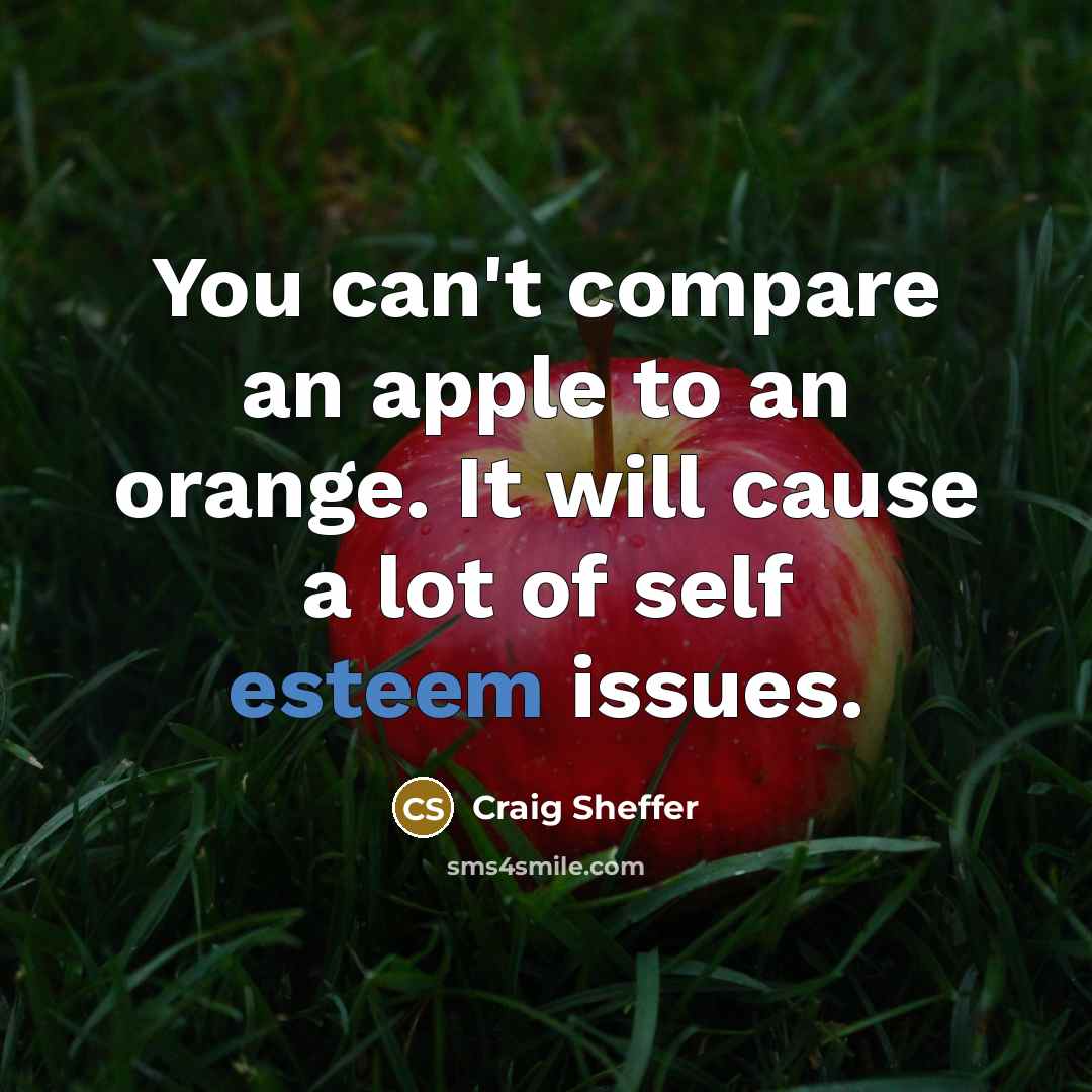 “You can't compare an apple to an orange. It will cause a lot of self esteem issues.” quote by Craig Sheffer