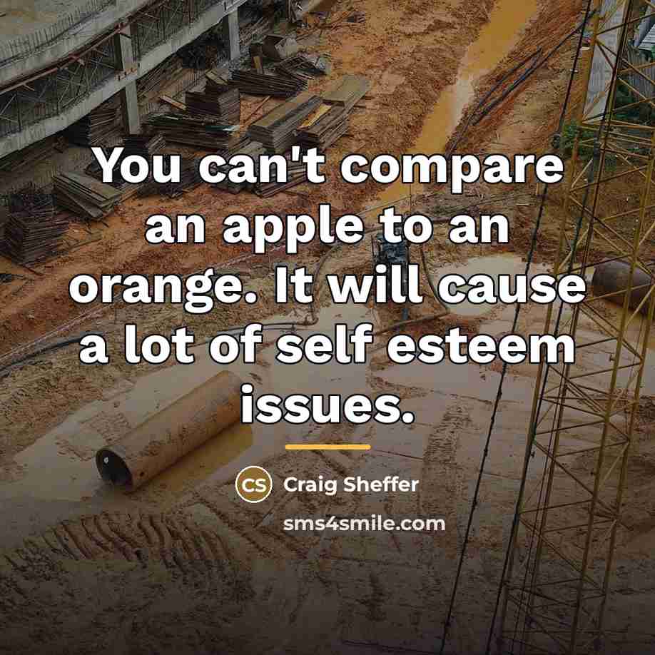 “You can't compare an apple to an orange. It will…” quote by Craig Sheffer