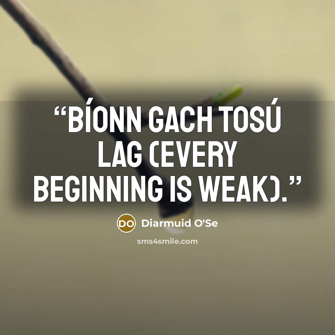 “Bíonn gach tosú lag (Every beginning is weak).” quote by Diarmuid O'Se