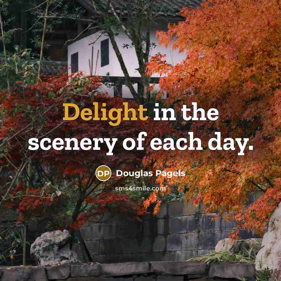 “Delight in the scenery of each day.…” quote by Douglas Pagels