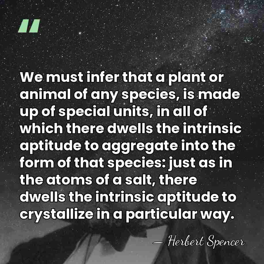 We must infer that a plant or animal of any species, is&hellip; - Herbert Spencer