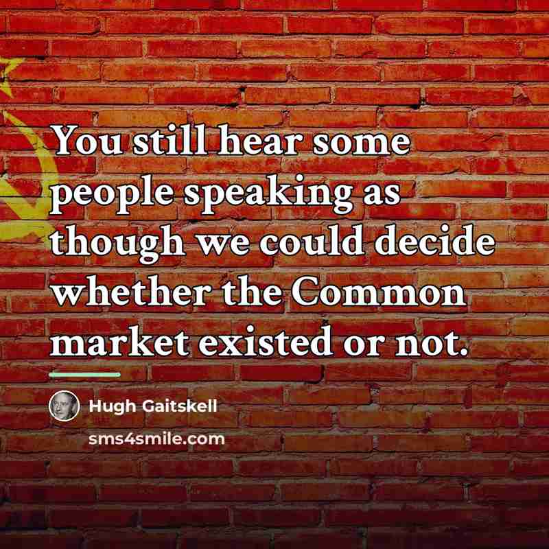 “You still hear some people speaking as though we could…” quote by Hugh Gaitskell