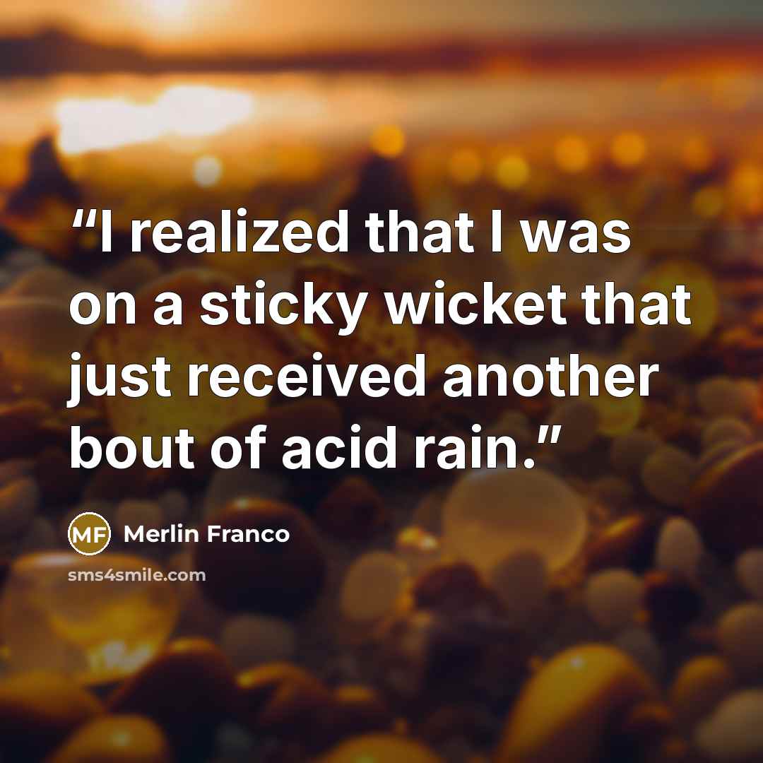 “I realized that I was on a sticky wicket that just received another bout of acid rain.” quote by Merlin Franco