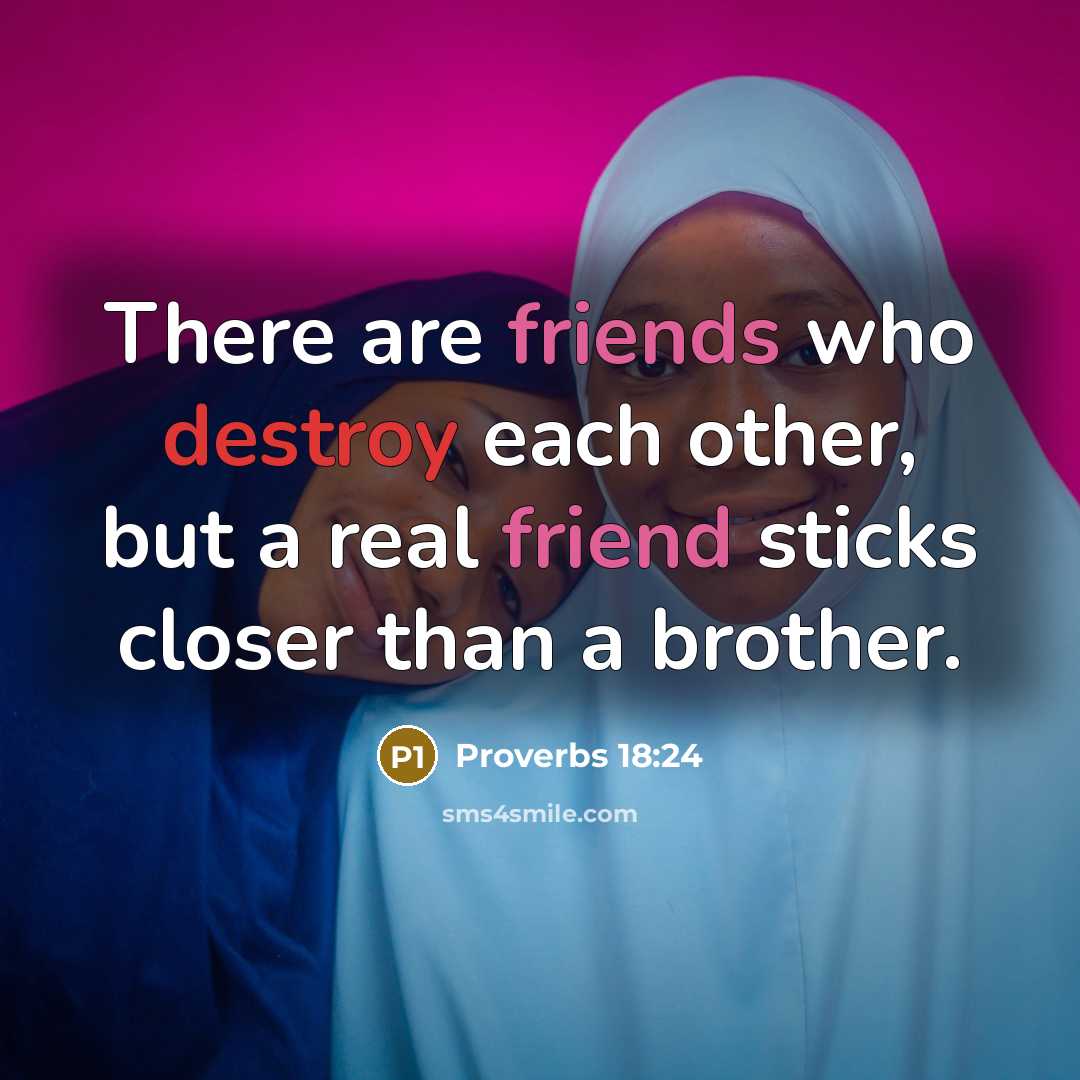 “There are friends who destroy each other, but a real friend sticks closer than a brother.” quote by Proverbs 18:24