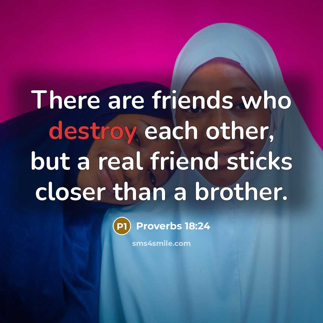 “There are friends who destroy each other, but a real…” quote by Proverbs 18:24