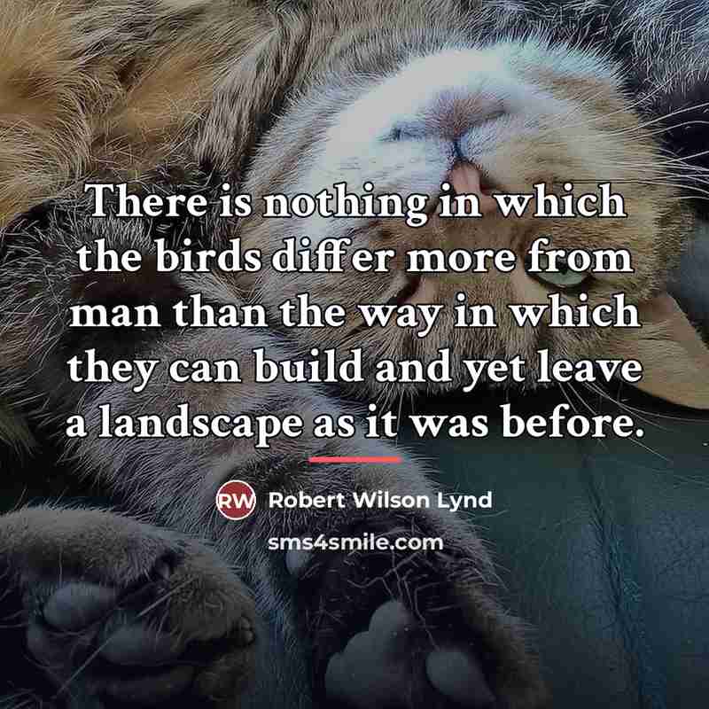“There is nothing in which the birds differ more from…” quote by Robert Wilson Lynd