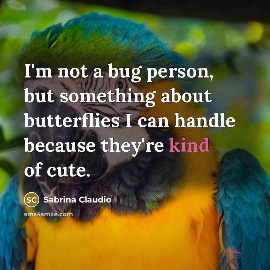 “I'm not a bug person, but something about butterflies I…” quote by Sabrina Claudio
