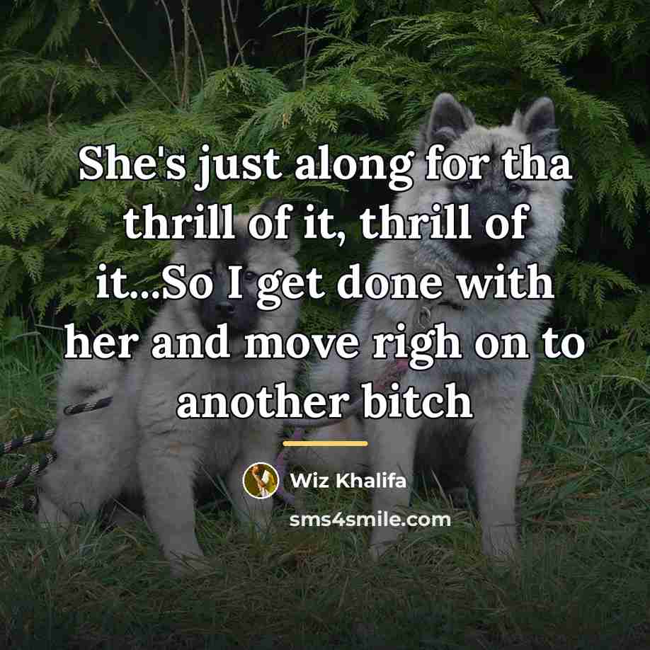 “She's just along for tha thrill of it, thrill of…” quote by Wiz Khalifa