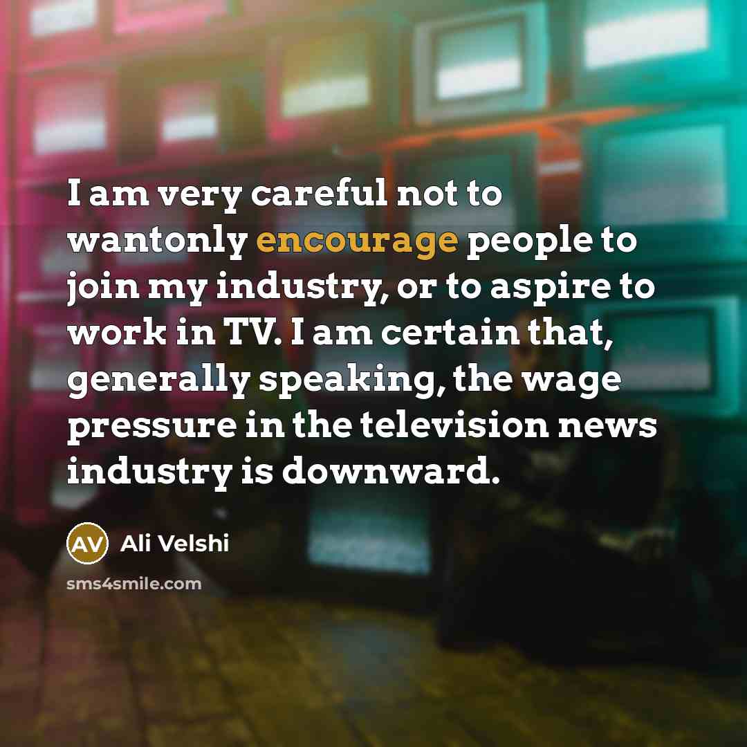“I am very careful not to wantonly encourage people to…” quote by Ali Velshi