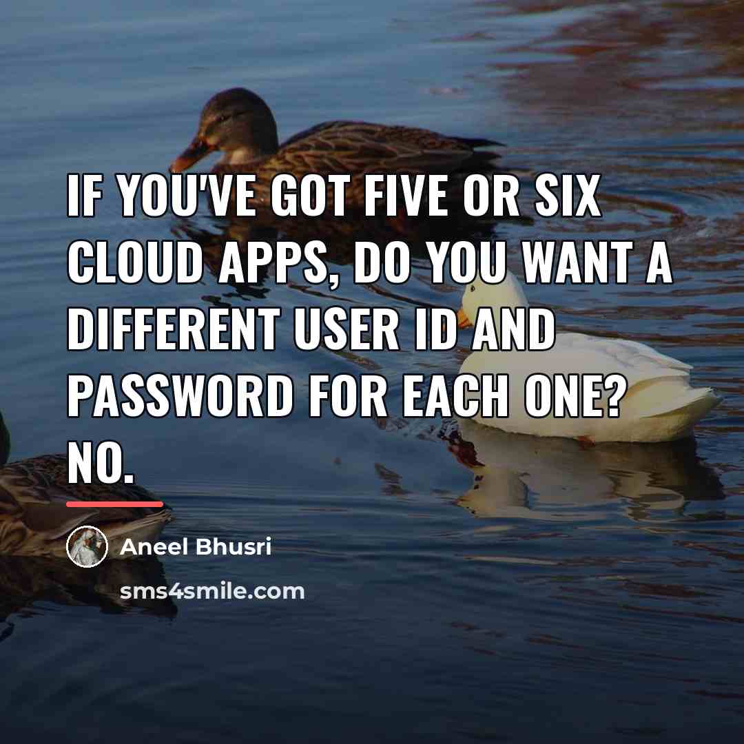 “If you've got five or six cloud apps, do you…” quote by Aneel Bhusri