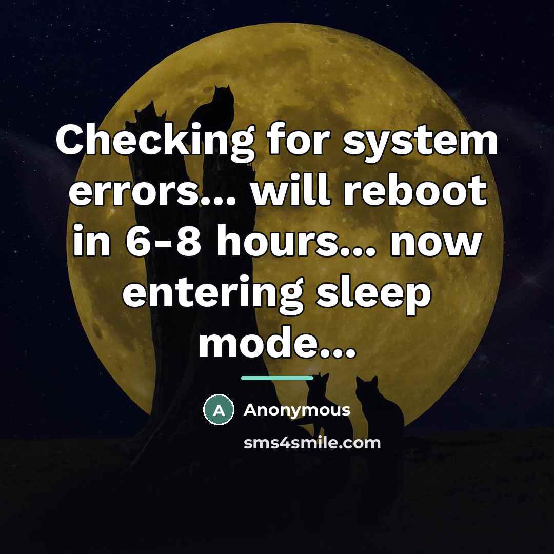 “Checking for system errors... will reboot in 6-8 hours... now…” quote by Anonymous