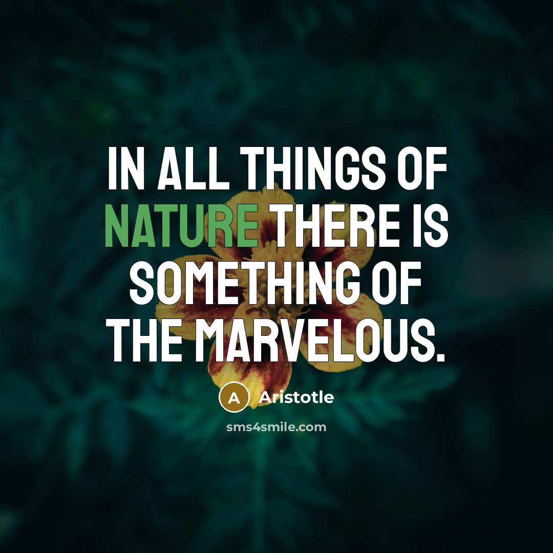 “In all things of nature there is something of the…” quote by Aristotle