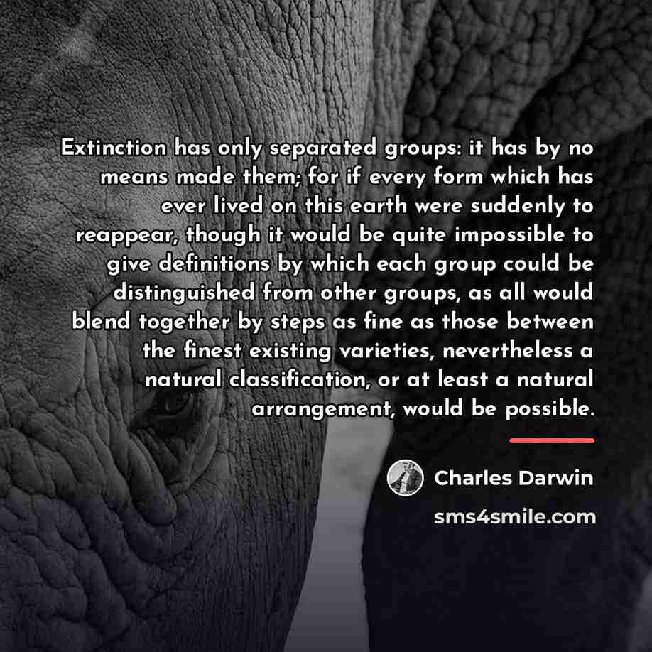 “Extinction has only separated groups: it has by no means…” quote by Charles Darwin