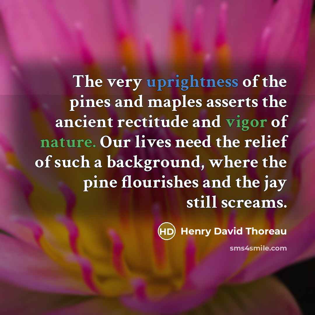 “The very uprightness of the pines and maples asserts the…” quote by Henry David Thoreau