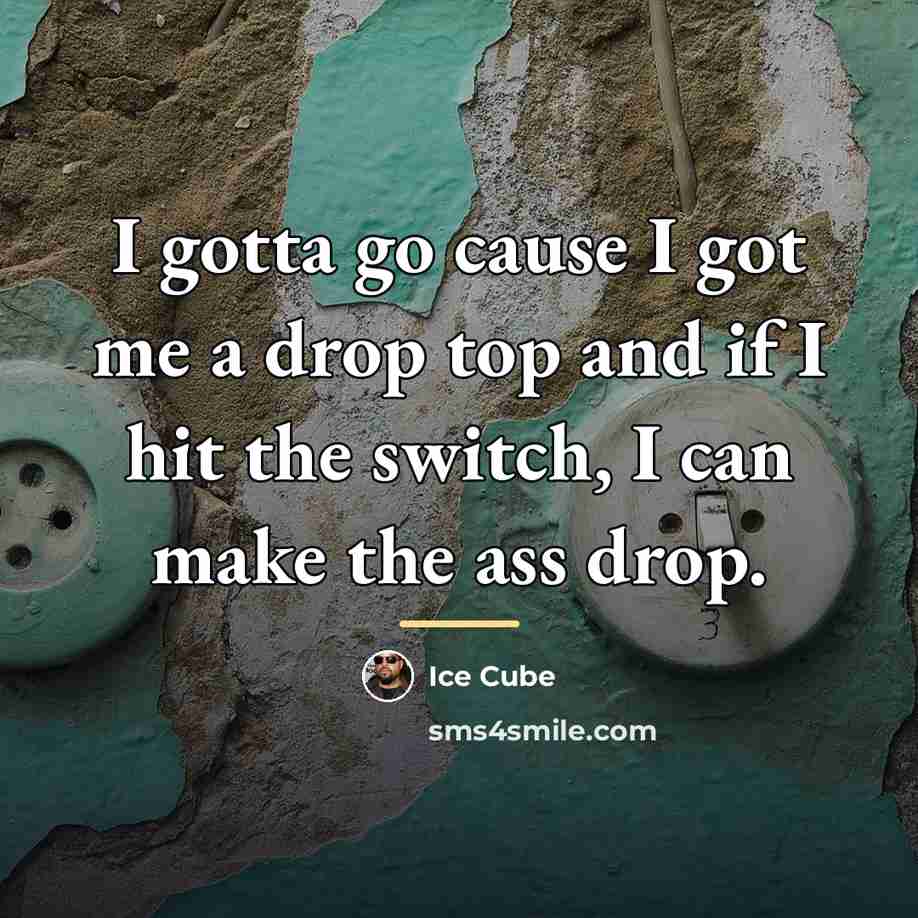 “I gotta go cause I got me a drop top…” quote by Ice Cube