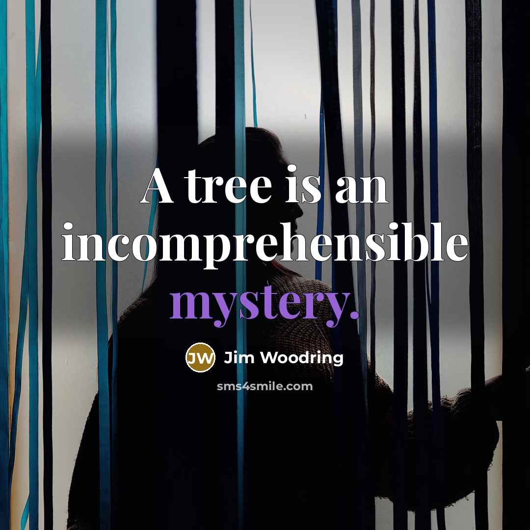 “A tree is an incomprehensible mystery.…” quote by Jim Woodring