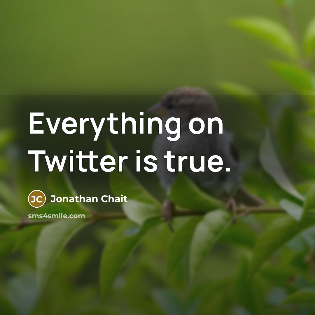“Everything on Twitter is true.” quote by Jonathan Chait