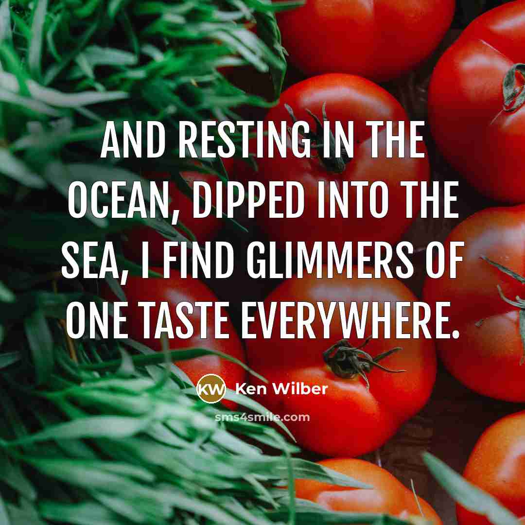 “And resting in the ocean, dipped into the sea, I…” quote by Ken Wilber