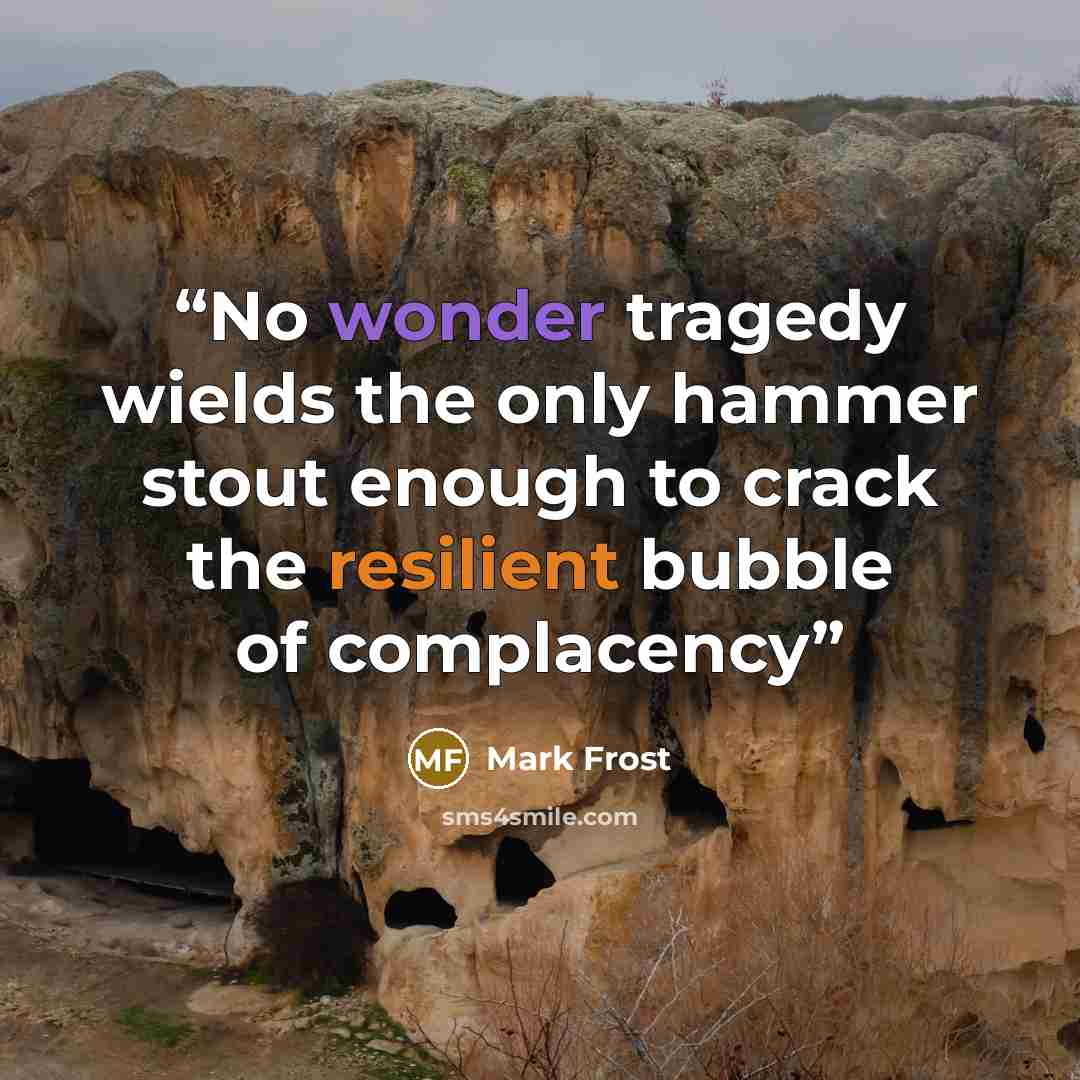 “No wonder tragedy wields the only hammer stout enough to crack the resilient bubble of complacency” quote by Mark Frost