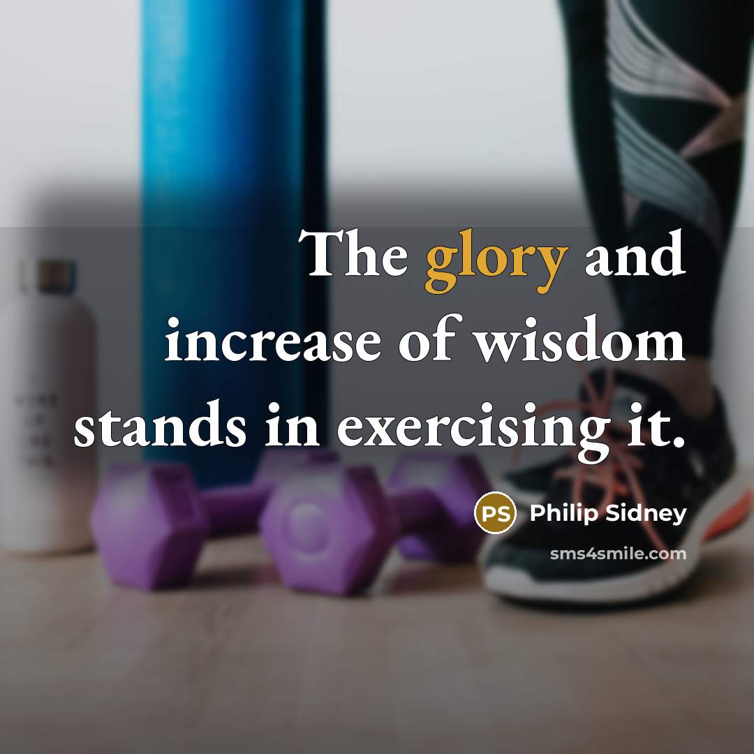 “The glory and increase of wisdom stands in exercising it.…” quote by Philip Sidney
