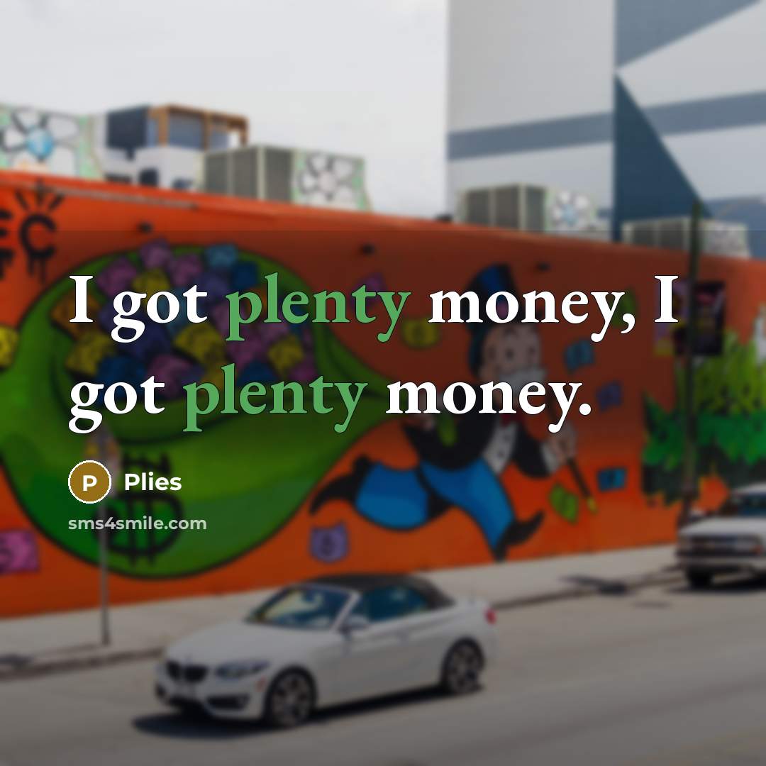 “I got plenty money, I got plenty money.…” quote by Plies