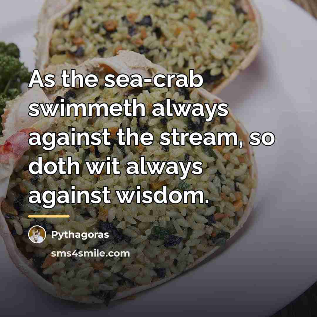 “As the sea-crab swimmeth always against the stream, so doth…” quote by Pythagoras