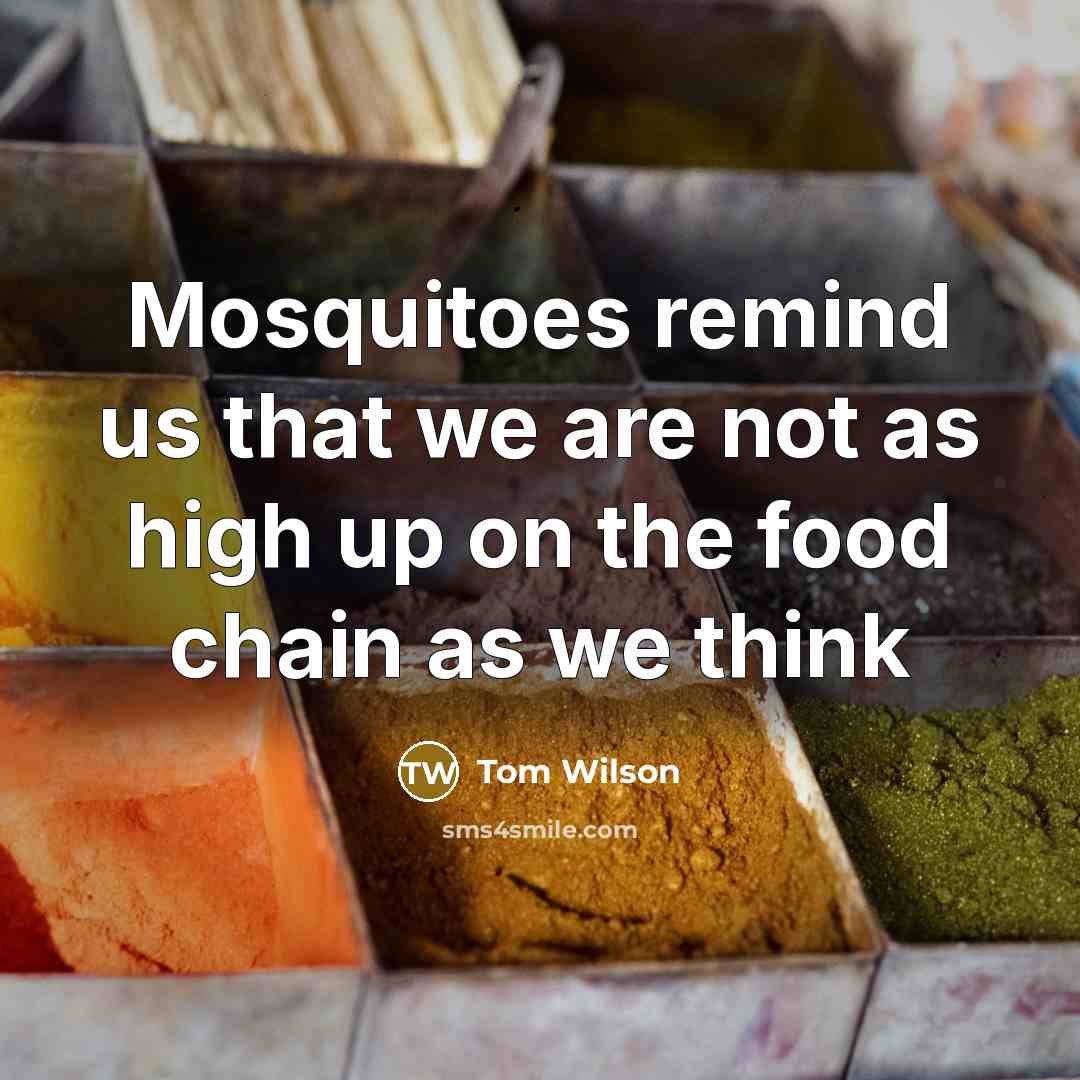 “Mosquitoes remind us that we are not as high up…” quote by Tom Wilson