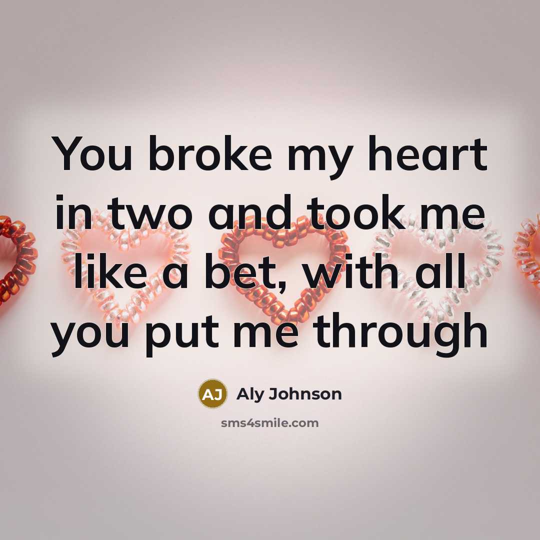 “You broke my heart in two and took me like a bet, with all you put me through” quote by Aly Johnson