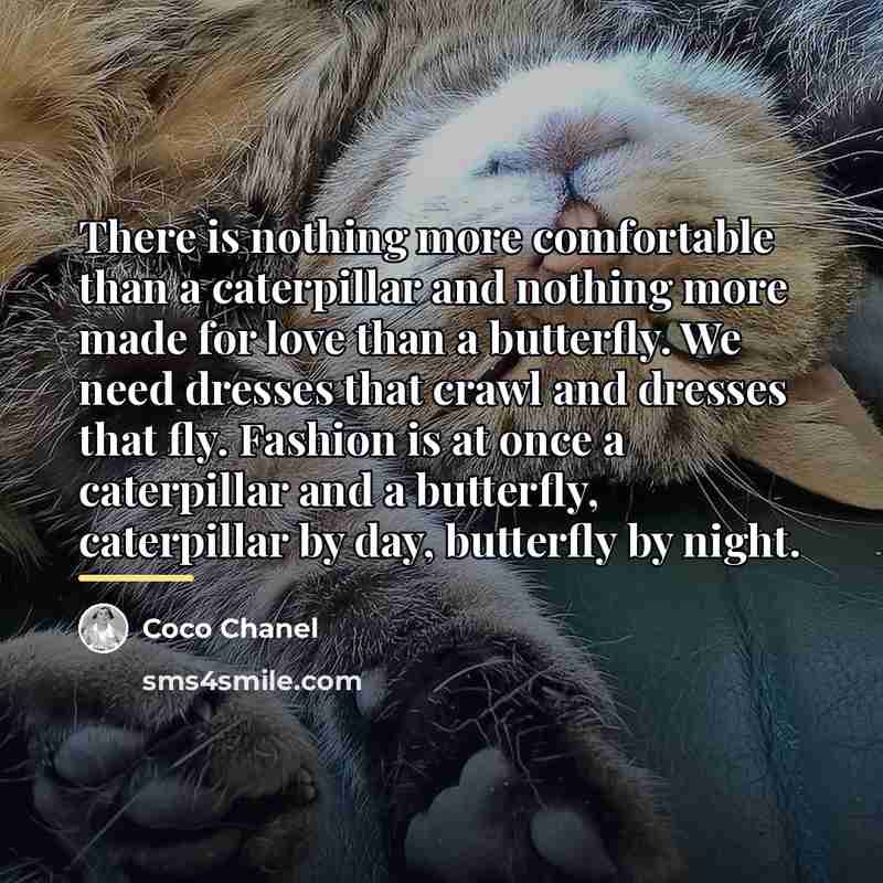 “There is nothing more comfortable than a caterpillar and nothing…” quote by Coco Chanel