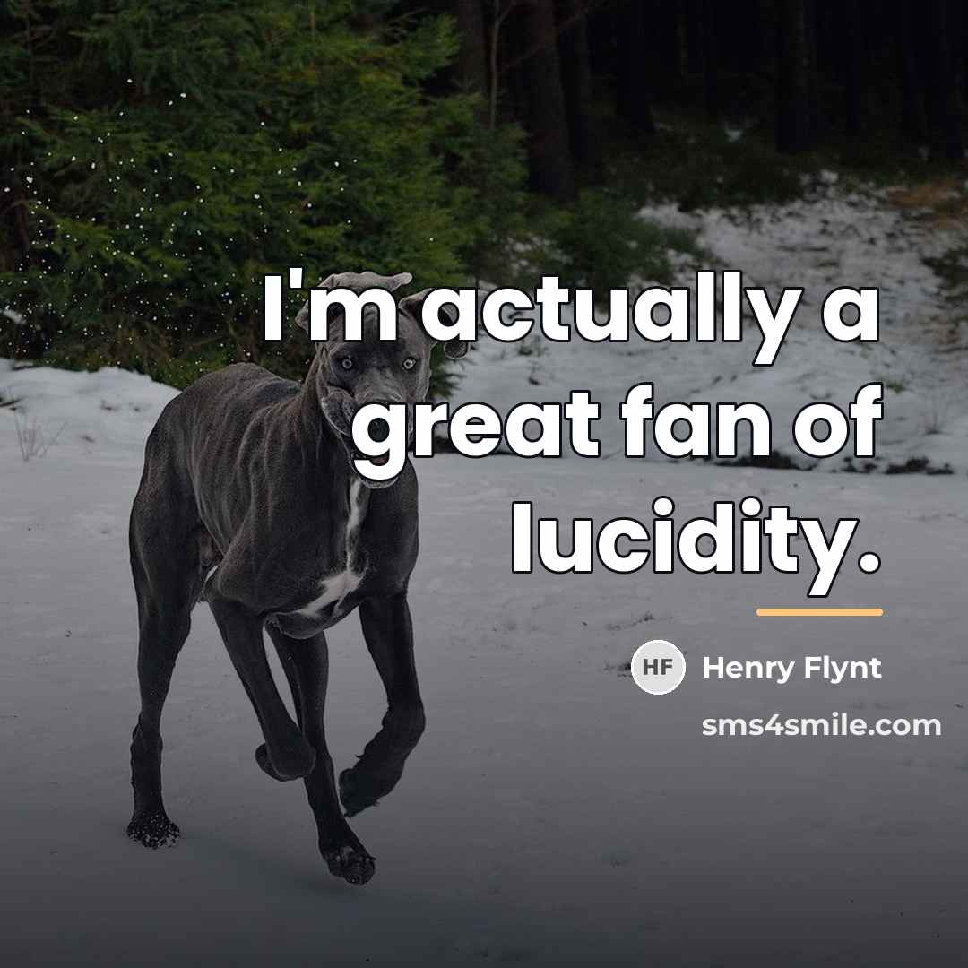 “I'm actually a great fan of lucidity.…” quote by Henry Flynt